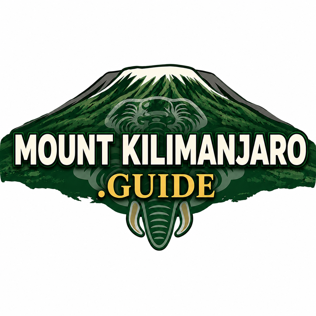 mount kilimanjaro guide